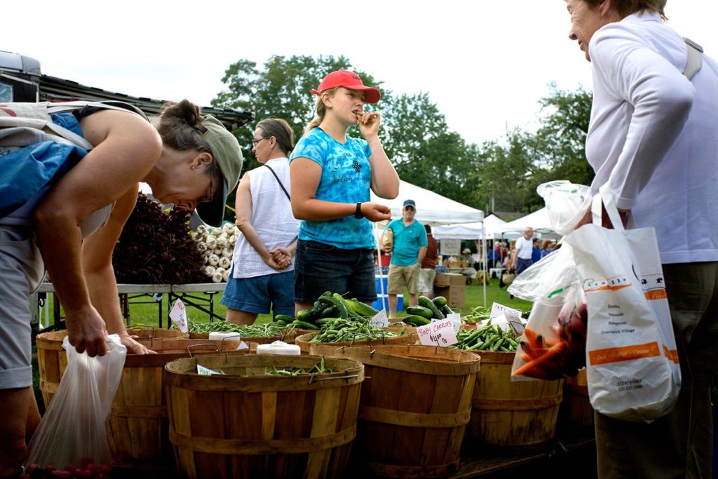 Where to Buy Tunbridge Hill Farm