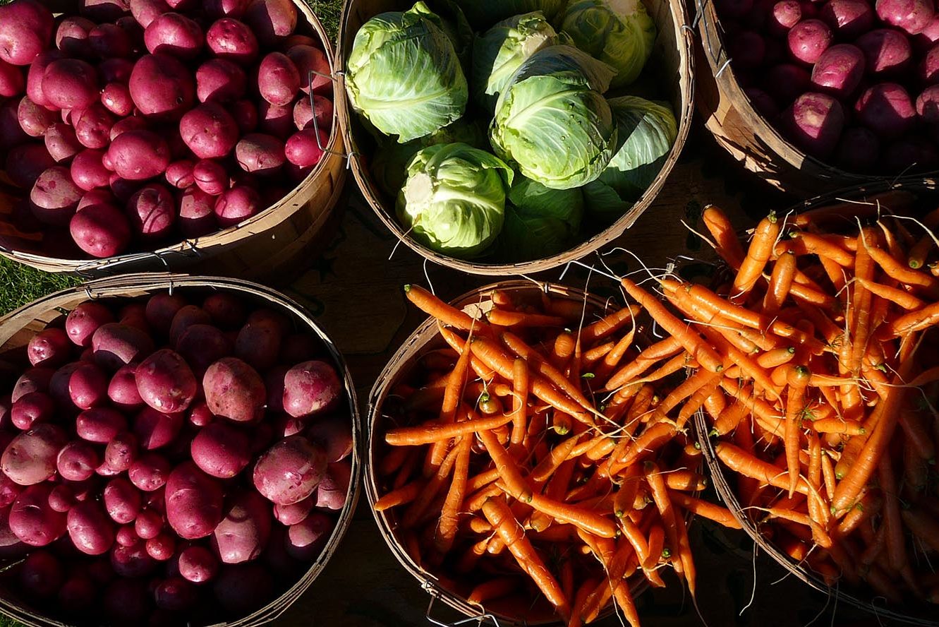 About Us Tunbridge Hill Farm