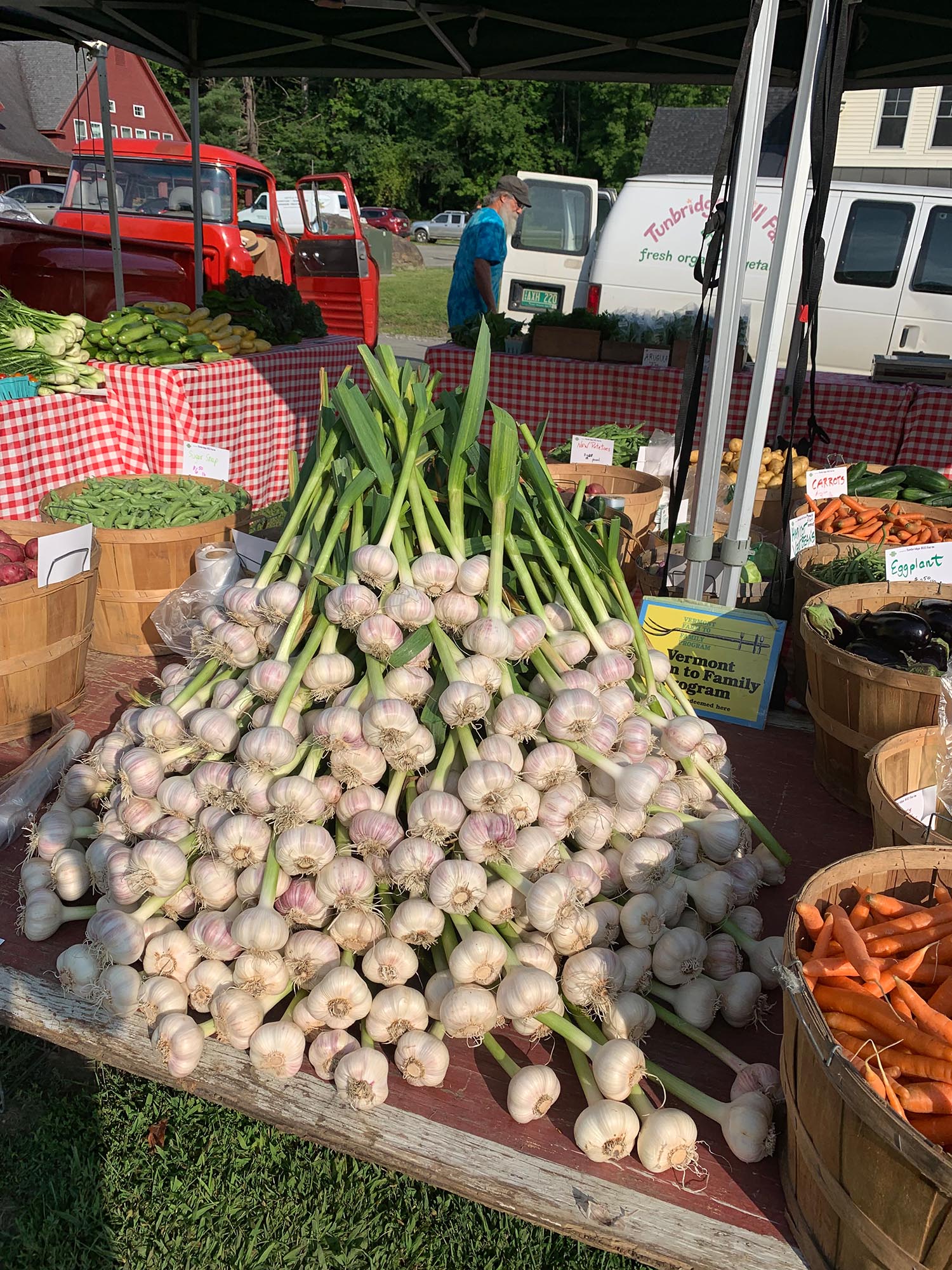 Fresh garlic Tunbridge Hill Farm